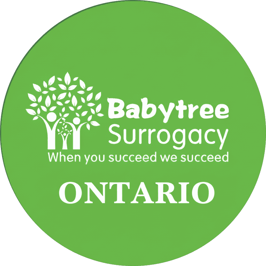 Babytree Surrogacy logo showing Ontario and slogan: When you succeed we succeed. It highlights support for families in Ontario. babytree Babytree Surrogacy logo showing Ontario and slogan: When you succeed we succeed. It highlights support for families in Ontario. babytree