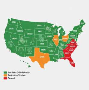 How Do Surrogacy Laws Vary Across States Regarding Pre-Birth Orders