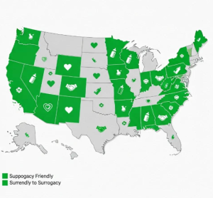 Babytree Surrogacy map of the USA shows which states support surrogacy and which have restrictions, making state laws easy to understand. babytree