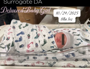 Babytree Surrogacy announces a healthy baby girl born 10/29/2025, weighing 8lbs 3oz, through a surrogate. Privacy is respected. babytree