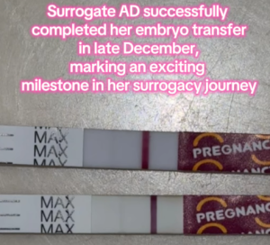 Babytree Surrogacy announces Surrogate AD’s embryo transfer was a success in December, celebrating an exciting milestone. babytree
