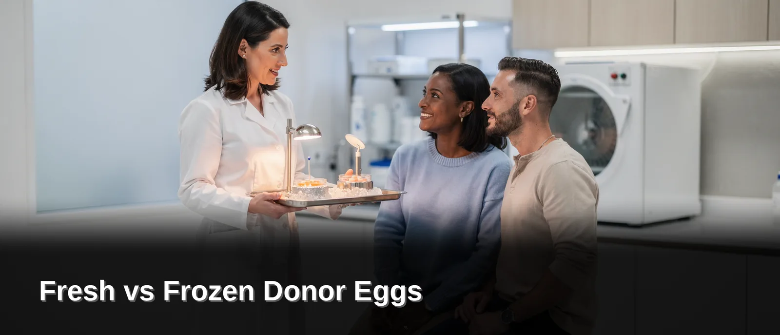 Illustration of intended parents discussing donor egg options with a clinician