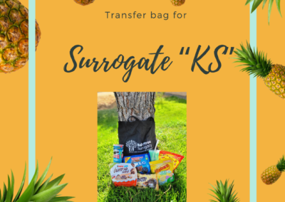BabyTree surrogacy photo