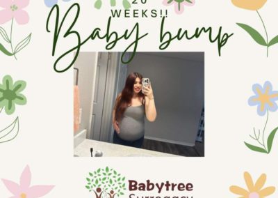 BabyTree surrogacy photo